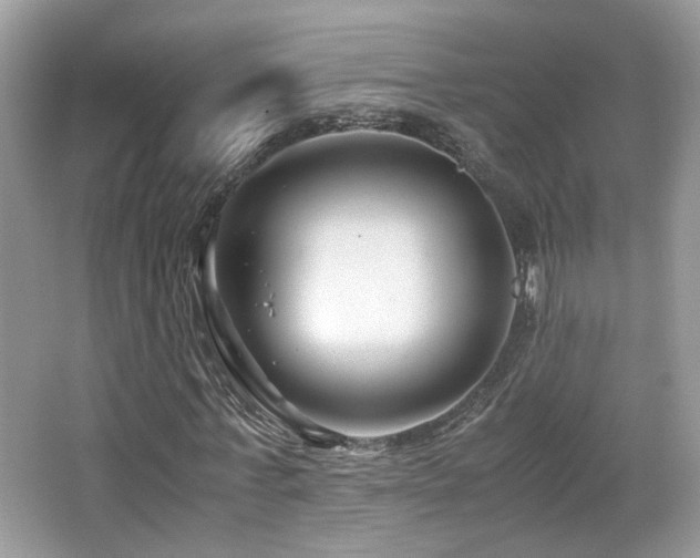 X0000065250771200602171427