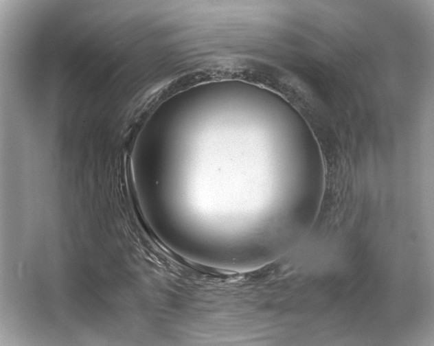 X0000065250773200602171427