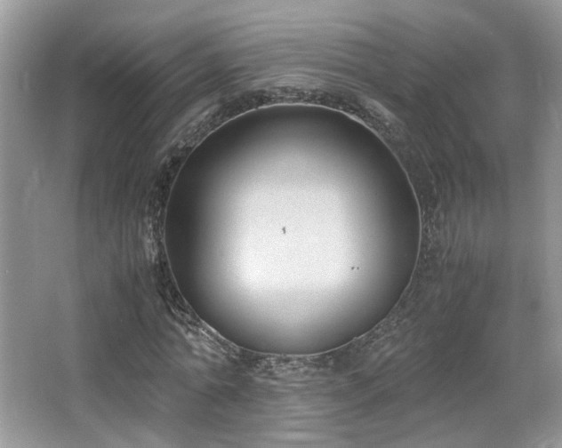 X0000065250774200602171427