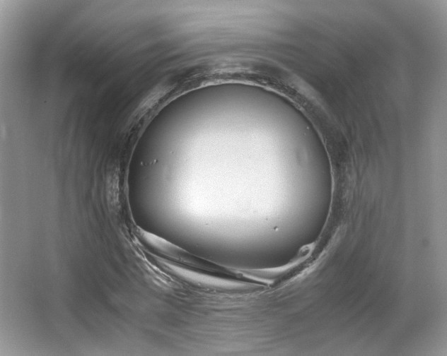 X0000065250777200602171427