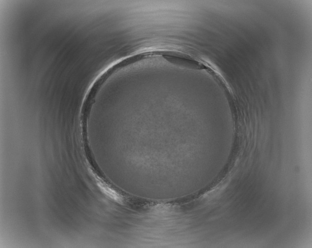 X0000065250779200602171427