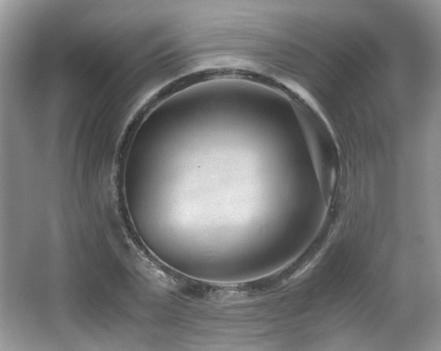 X0000065250783200602171427