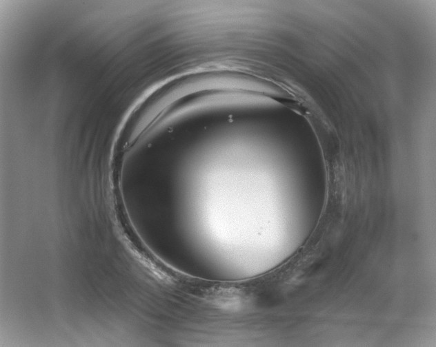 X0000065250784200602171426
