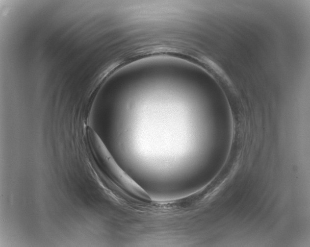 X0000065250793200602171426