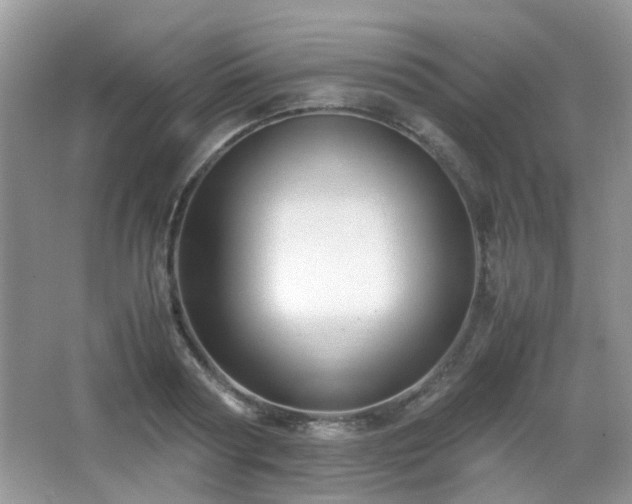 X0000065250794200602171426