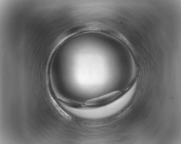 X0000065250795200602171426
