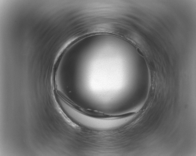 X0000065250796200602171426