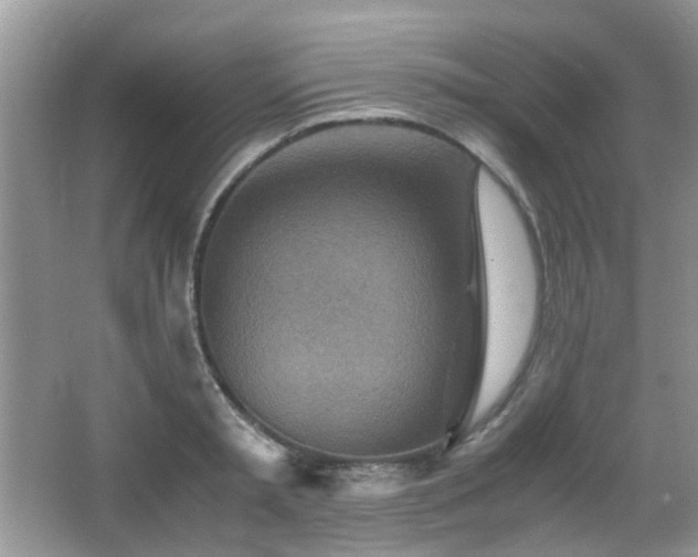 X0000065250797200602171426