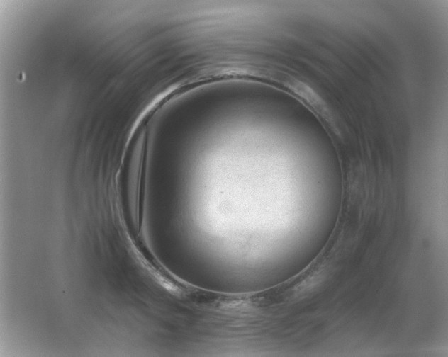X0000065250798200602171426
