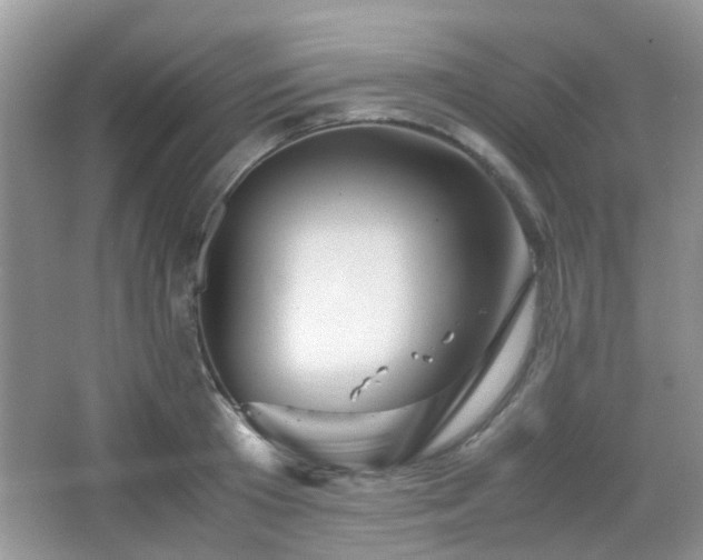 X0000065250801200602171426