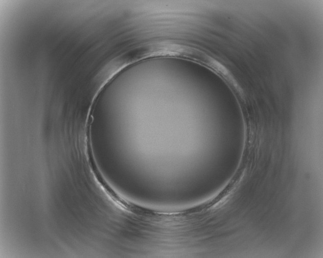 X0000065250802200602171426