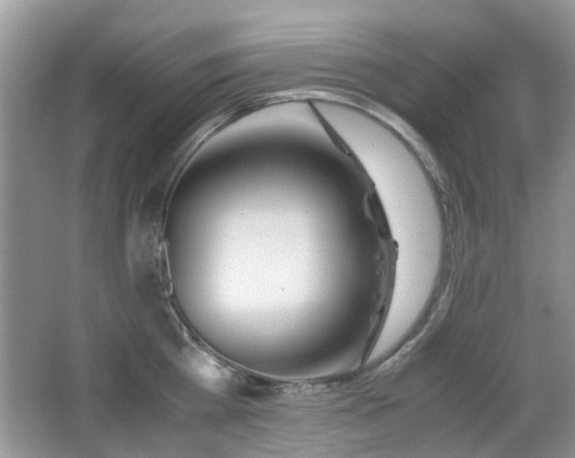 X0000065250809200602171426