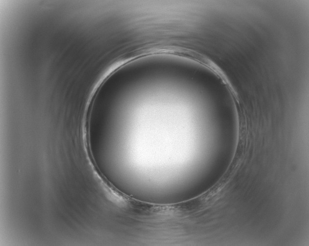 X0000065250811200602171426