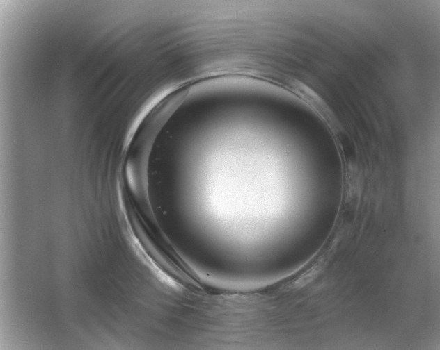 X0000065250812200602171426
