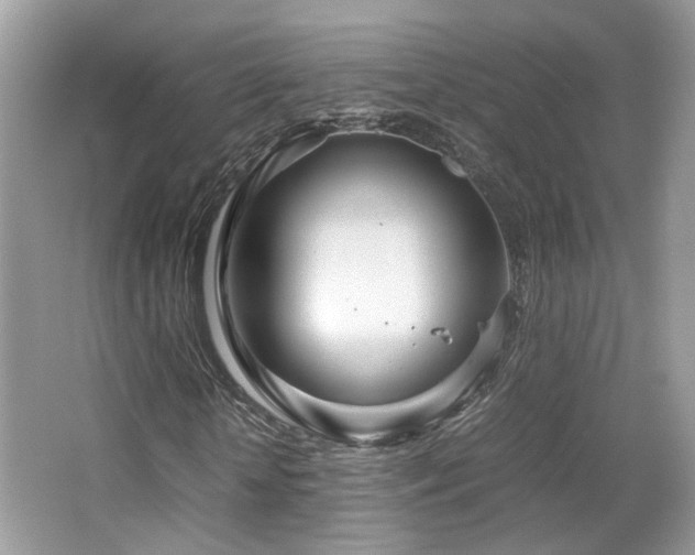 X0000065250818200602171425
