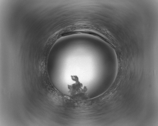 X0000065250821200602171425
