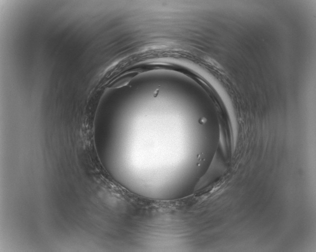 X0000065250822200602171425