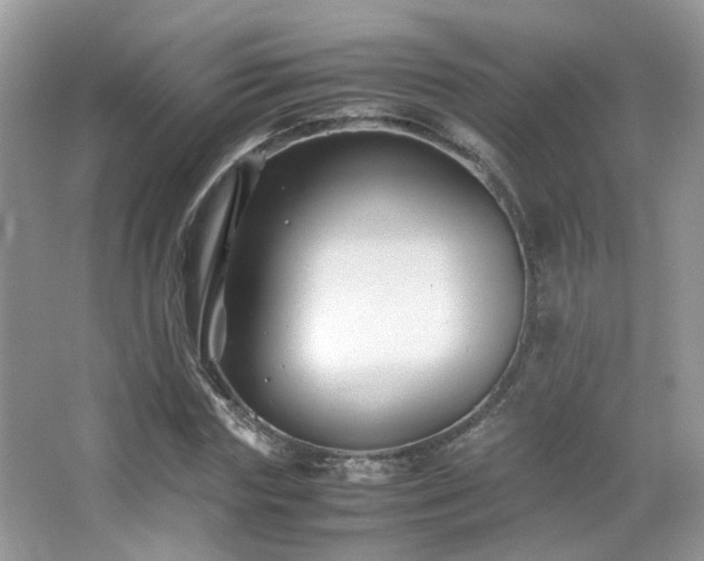 X0000065250827200602171425