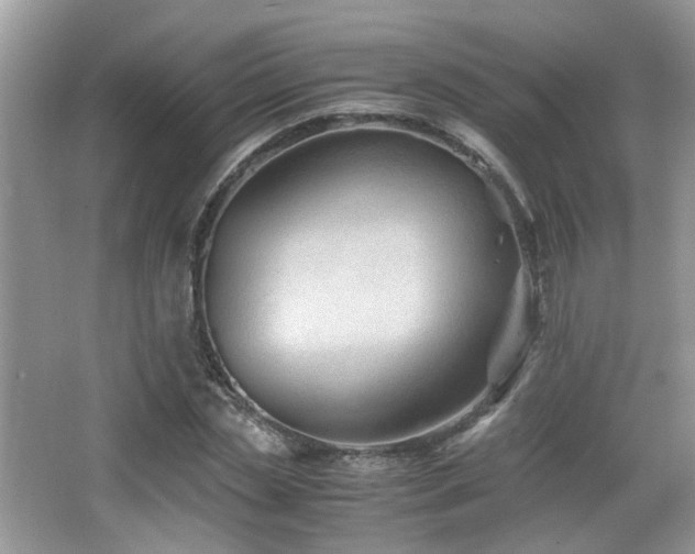 X0000065250829200602171425