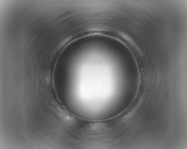 X0000065250833200602171425