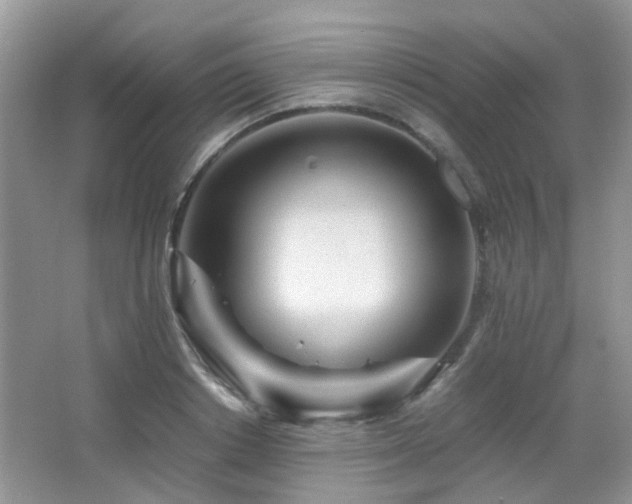 X0000065250842200602171426