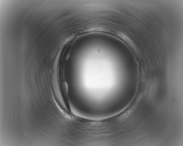 X0000065250849200602171426