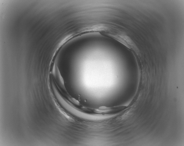 X0000065250850200602171426