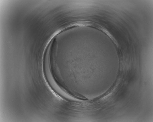 X0000065250853200602171426