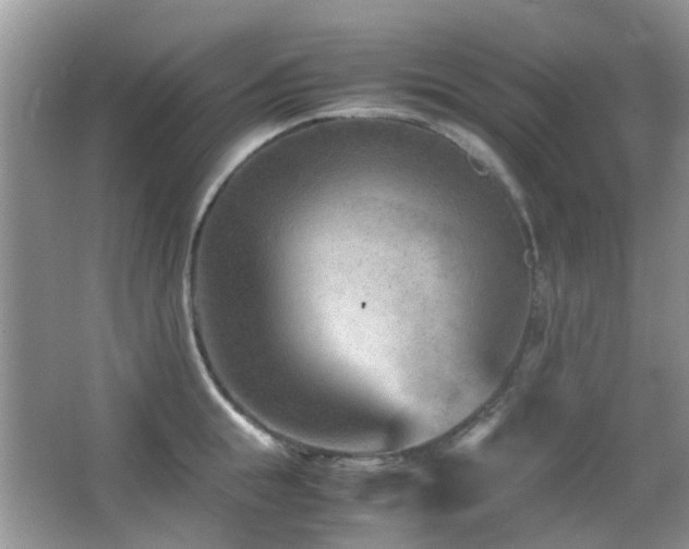 X0000065250855200602171426