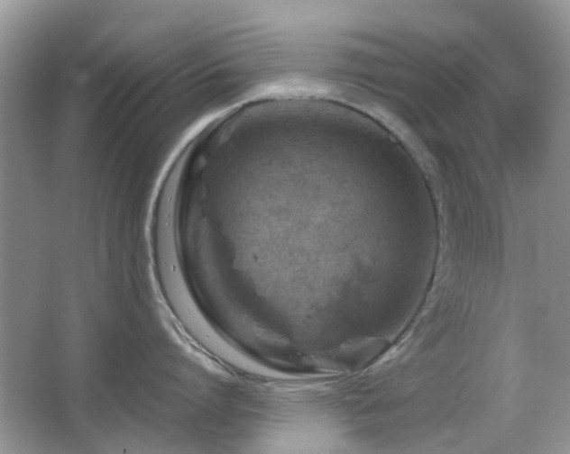 X0000065250864200602171426