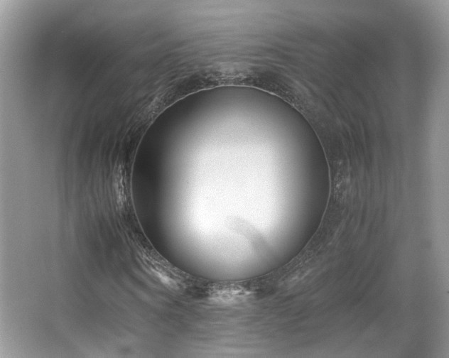 X0000065250866200602171425
