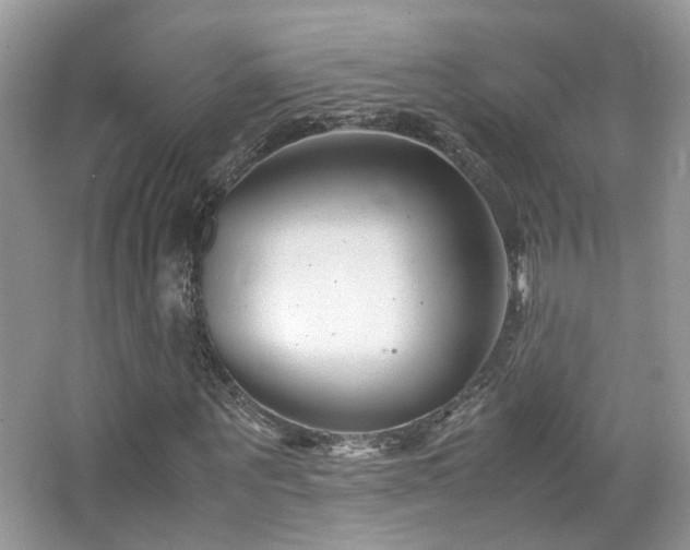 X0000065250867200602171425