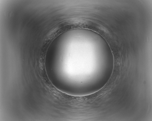 X0000065250869200602171425