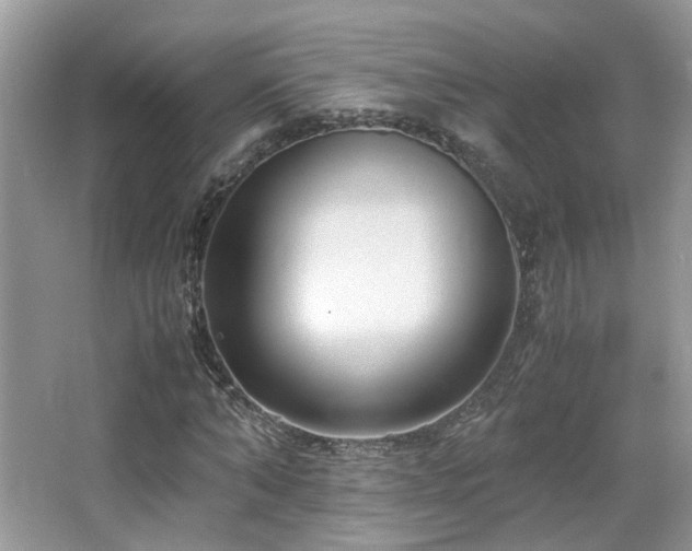 X0000065250870200602171425