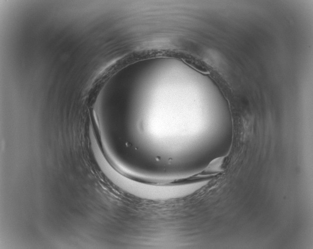 X0000065250872200602171425