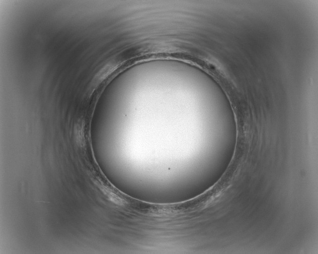 X0000065250873200602171425