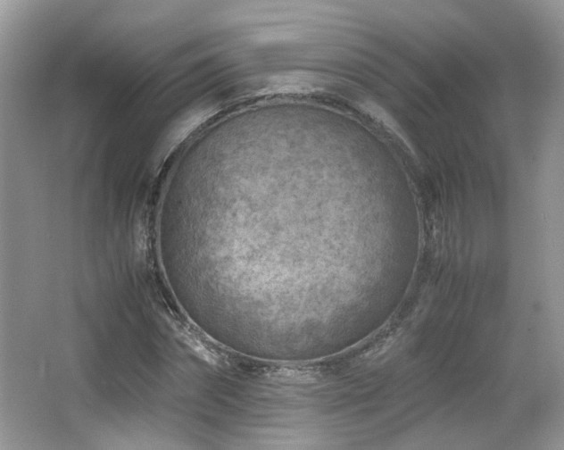 X0000065250874200602171425