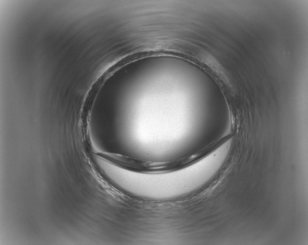 X0000065250876200602171425