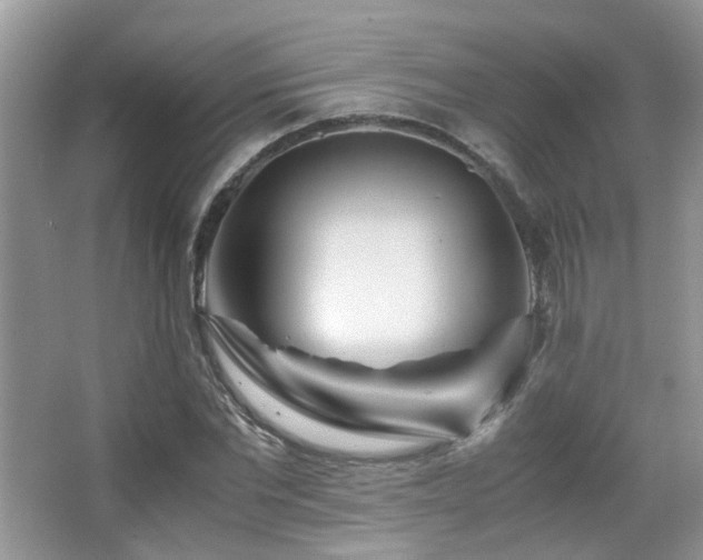 X0000065250877200602171425