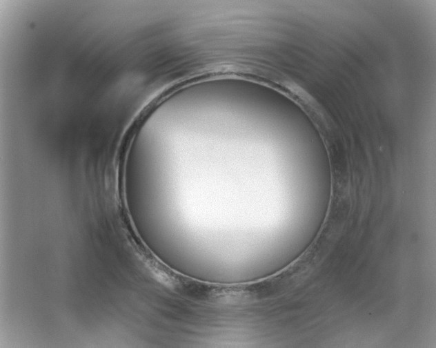 X0000065250886200602171425