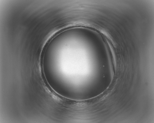 X0000065250888200602171425