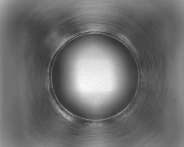 X0000065250890200602171425