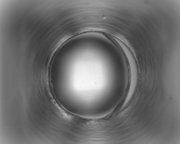 X0000065250898200602171424