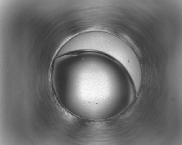 X0000065250900200602171424