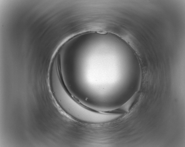 X0000065250904200602171424