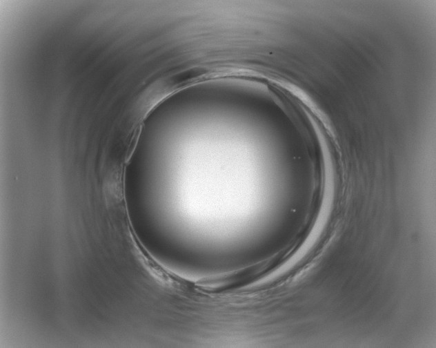 X0000065250905200602171424