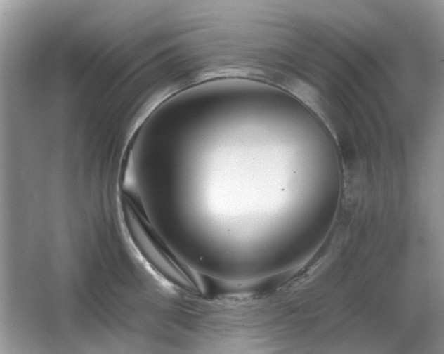 X0000065250906200602171424