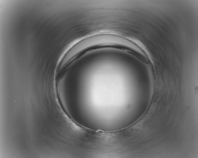 X0000065250910200602171424