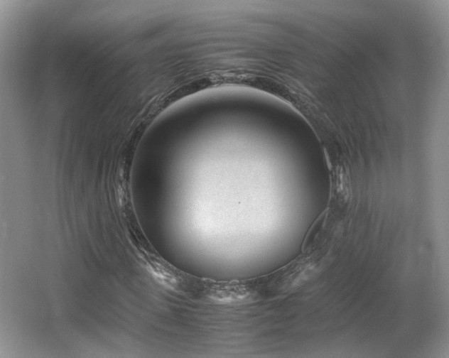X0000065250915200602171423