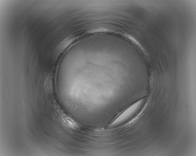 X0000065250921200602171424